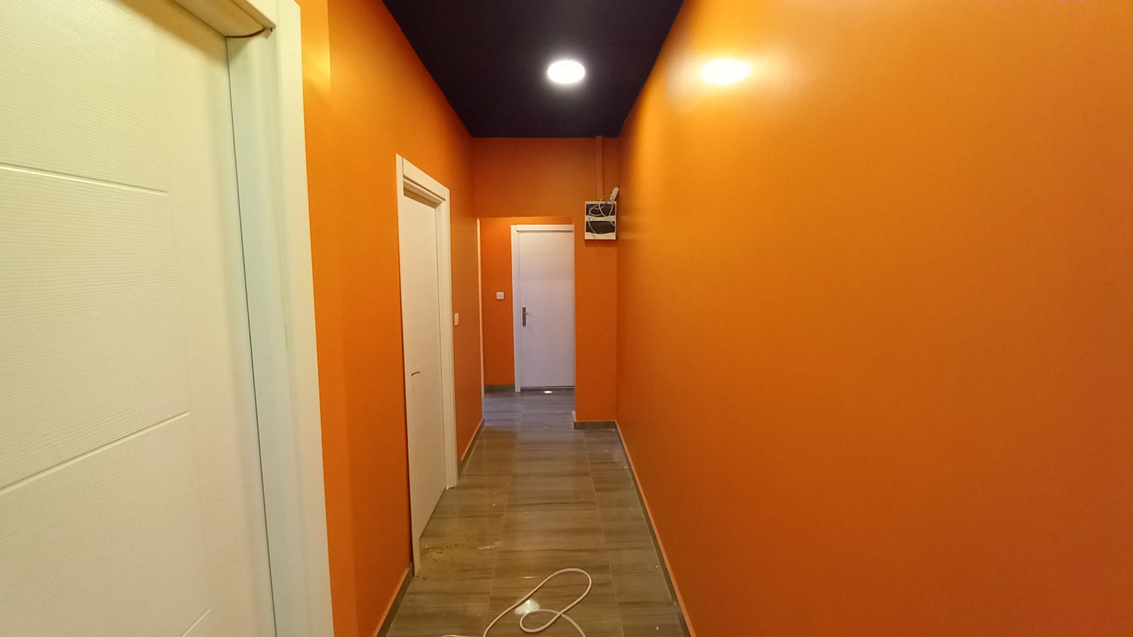 Sancaktepe Veteriner Kliniği Mekan Tasarımı