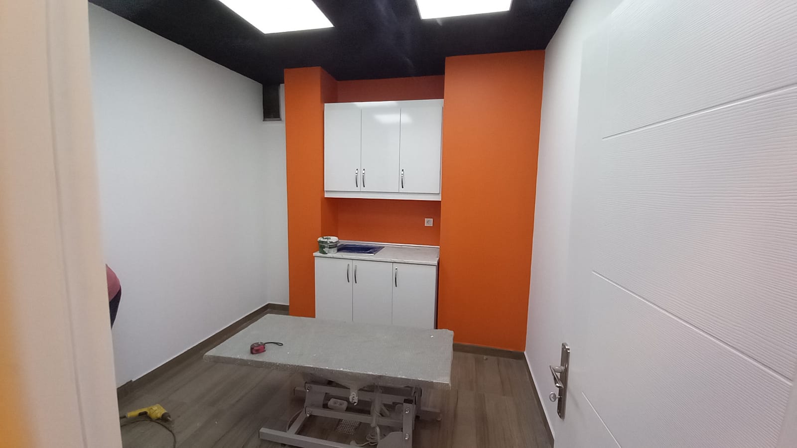 Sancaktepe Veteriner Kliniği Mekan Tasarımı